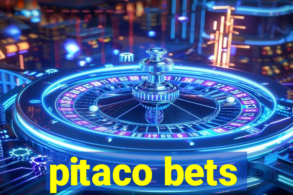 pitaco bets